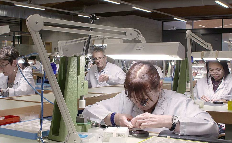 L'atelier d'assemblage, postes sous lampes