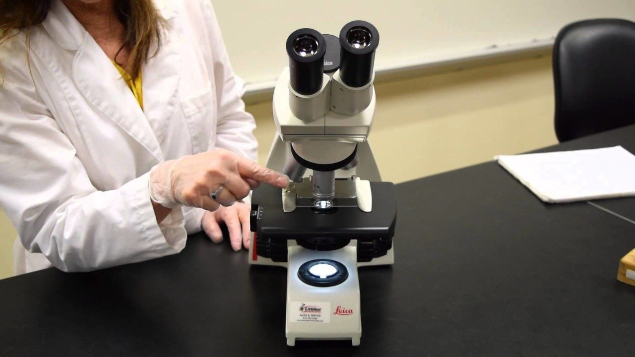 Visitage d'une pièce au microscope